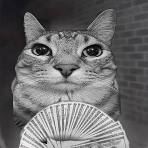 Meet your Posher, Smoz